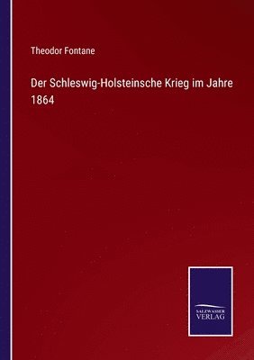 bokomslag Der Schleswig-Holsteinsche Krieg im Jahre 1864