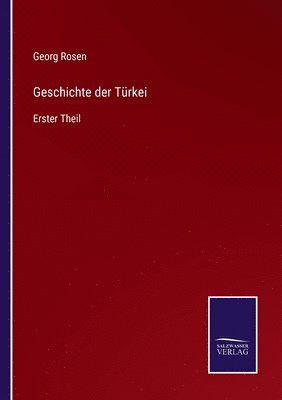 Georg Rosen - Geschichte der Türkei, Häftad