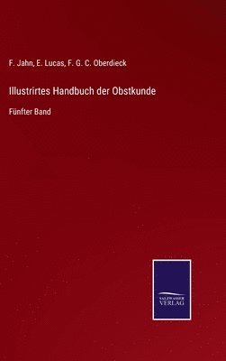 bokomslag Illustrirtes Handbuch der Obstkunde