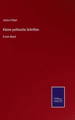 bokomslag Kleine politische Schriften