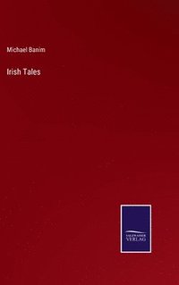 bokomslag Irish Tales