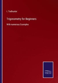 bokomslag Trigonometry for Beginners