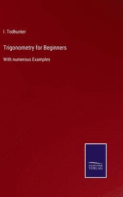 bokomslag Trigonometry for Beginners