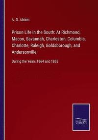 bokomslag Prison Life in the South