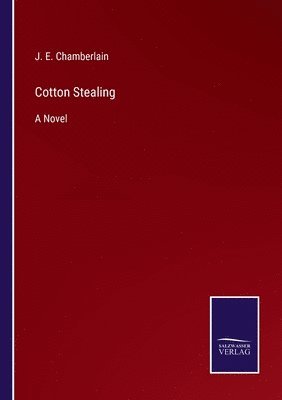 bokomslag Cotton Stealing