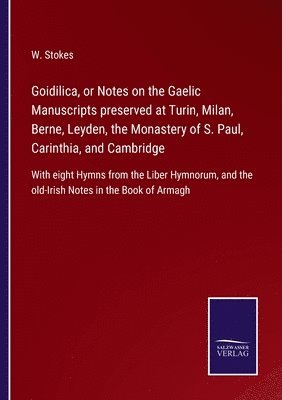 bokomslag Goidilica, or Notes on the Gaelic Manuscripts preserved at Turin, Milan, Berne, Leyden, the Monastery of S. Paul, Carinthia, and Cambridge