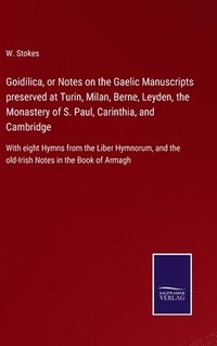bokomslag Goidilica, or Notes on the Gaelic Manuscripts preserved at Turin, Milan, Berne, Leyden, the Monastery of S. Paul, Carinthia, and Cambridge