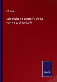 bokomslag Contemplations on Israel's Exodus considered allegorically