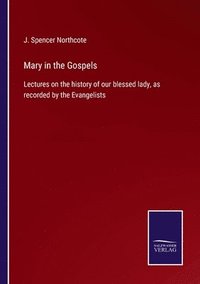 bokomslag Mary in the Gospels