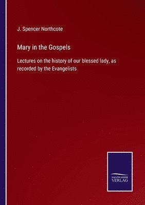 bokomslag Mary in the Gospels
