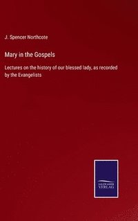 bokomslag Mary in the Gospels