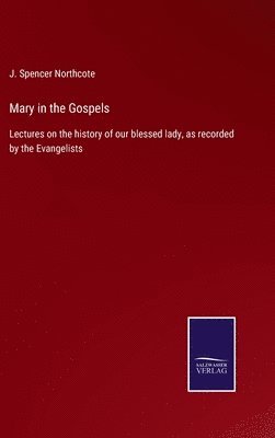 bokomslag Mary in the Gospels