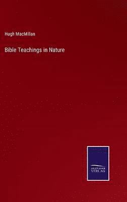 bokomslag Bible Teachings in Nature