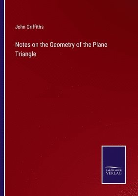 bokomslag Notes on the Geometry of the Plane Triangle