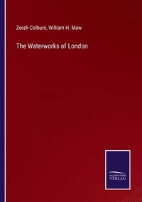 bokomslag The Waterworks of London