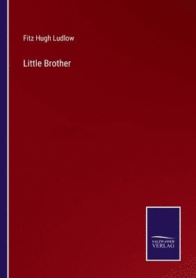 Fitz Hugh Ludlow - Little Brother, Häftad