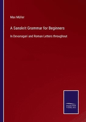 bokomslag A Sanskrit Grammar for Beginners