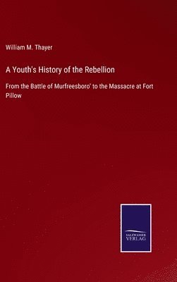 bokomslag A Youth's History of the Rebellion