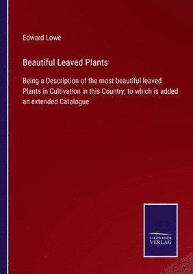 Beautiful Leaved Plants 1