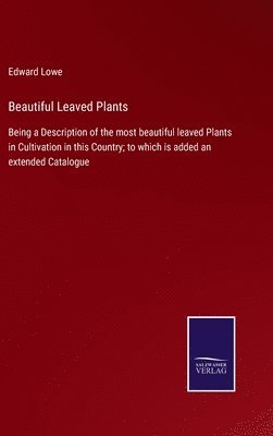 Beautiful Leaved Plants 1