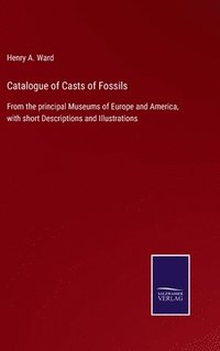 bokomslag Catalogue of Casts of Fossils