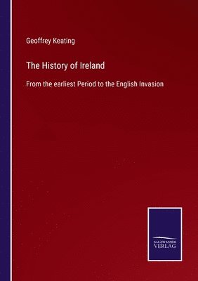 bokomslag The History of Ireland