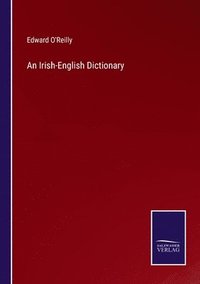 bokomslag An Irish-English Dictionary