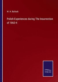 bokomslag Polish Experiences during The Insurrection of 1863-4