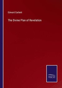 bokomslag Divine Plan of Revelation