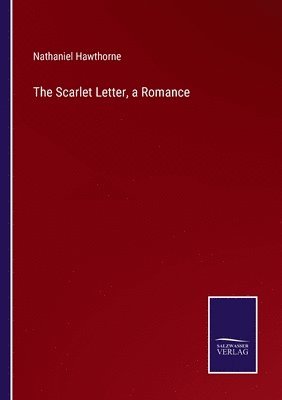 bokomslag Scarlet Letter, a Romance