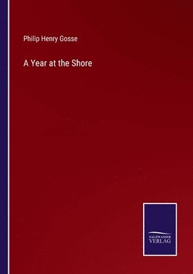 A Year at the Shore 1