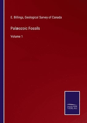 Palozoic Fossils 1