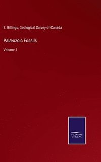 bokomslag Palæozoic Fossils