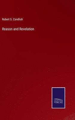 bokomslag Reason and Revelation