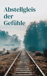 bokomslag Abstellgleis der Gefühle