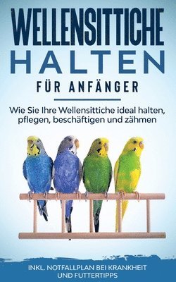 bokomslag Wellensittiche halten für Anfänger