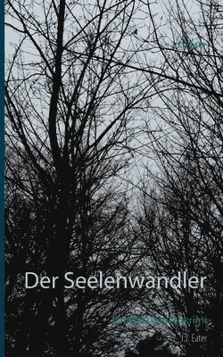 bokomslag Der Seelenwandler