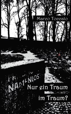 Marco Toccato - Nur ein Traum im Traum?, Häftad