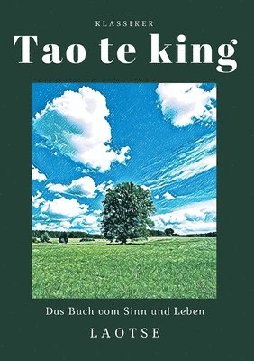 bokomslag Tao te king