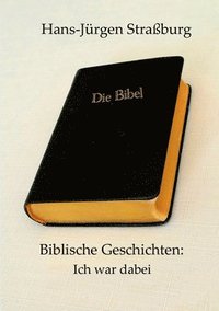 bokomslag Biblische Geschichten