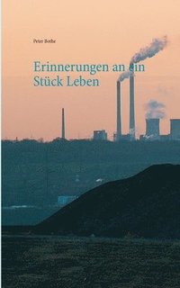 bokomslag Erinnerungen an ein Stuck Leben