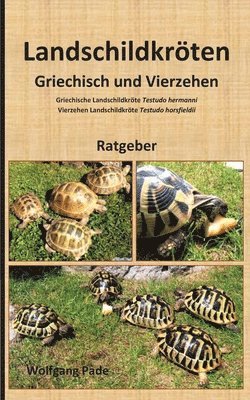 bokomslag Landschildkröten Griechisch und Vierzehen