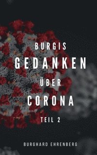 bokomslag Burgis Gedanken über Corona