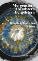 bokomslag Morgenstern, Abendstern, Bergelstern