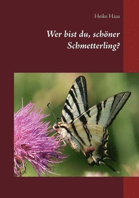 bokomslag Wer bist du, schner Schmetterling?