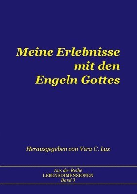 bokomslag Meine Erlebnisse mit den Engeln Gottes