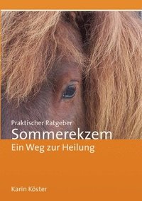bokomslag Praktischer Ratgeber Sommerekzem: Ein Weg zur Heilung