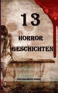 bokomslag 13 Horrorgeschichten