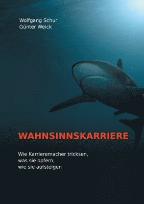 Günter Weick, Wolfgang Schur - Wahnsinnskarriere, Häftad