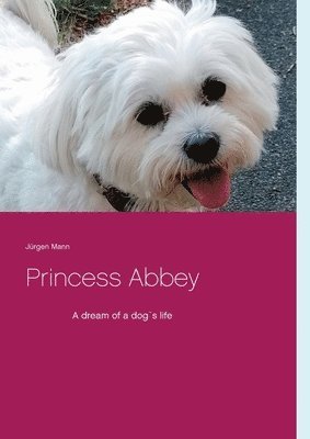 Princess Abbey 1